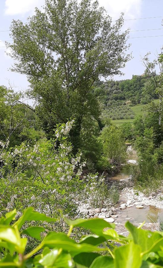 Podere Pian Dei Gelsi Volterra Eksteriør billede