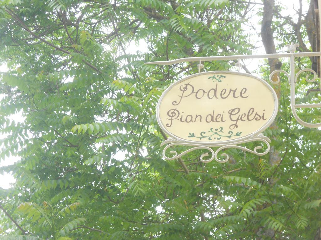 Podere Pian Dei Gelsi Volterra Eksteriør billede